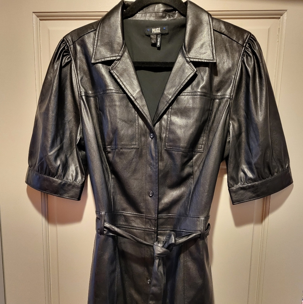 Paige Vegan Leather Mini Dress